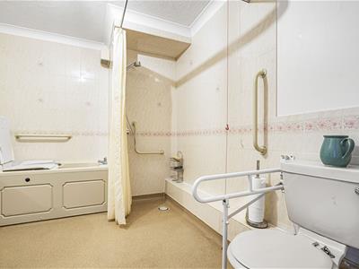 Picture 8